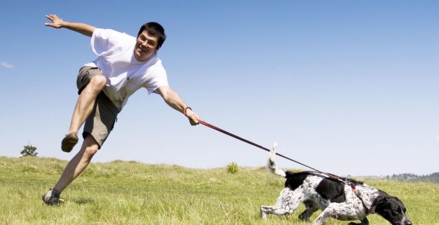 Cosa fare se il cane tira al guinzaglio