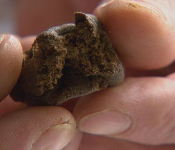 Fermato davanti alla stazione San Paolo con hashish in tasca