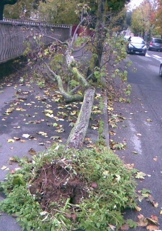 torna il sereno