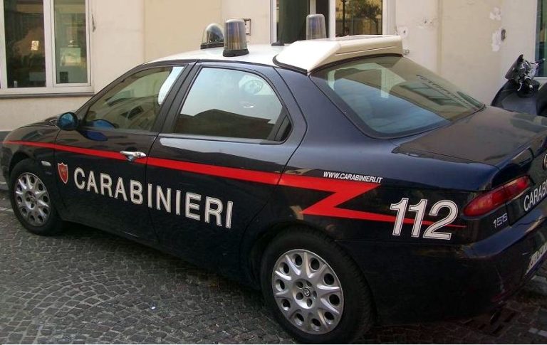 Il Mio Cane Zoppica Ma Non Si Lamenta