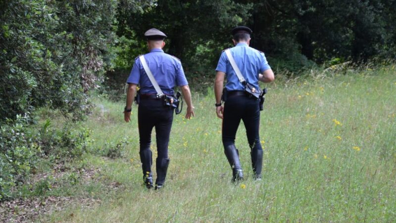 https://laprovinciadibiella.it/wp-content/uploads/2020/05/42086442_carabinieri-bosco-2-800x450.jpg