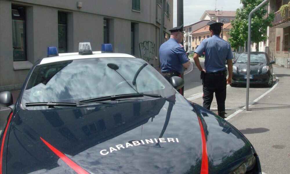 lite cossato