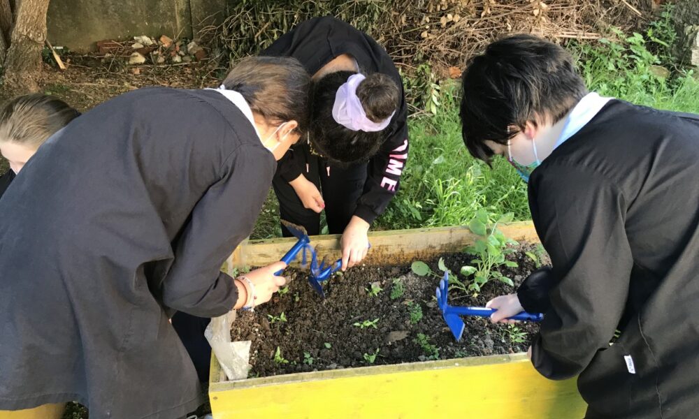 Orto in classe, è tornata l'iniziativa dedicata ai bambini