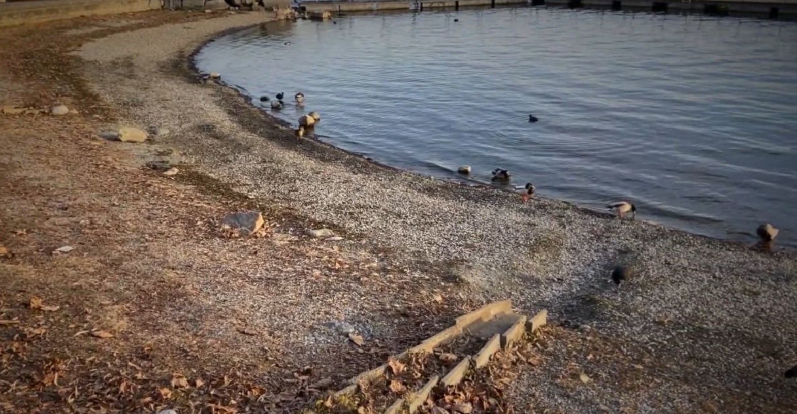 lago di viverone