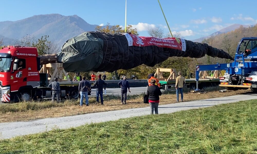 albero di natale