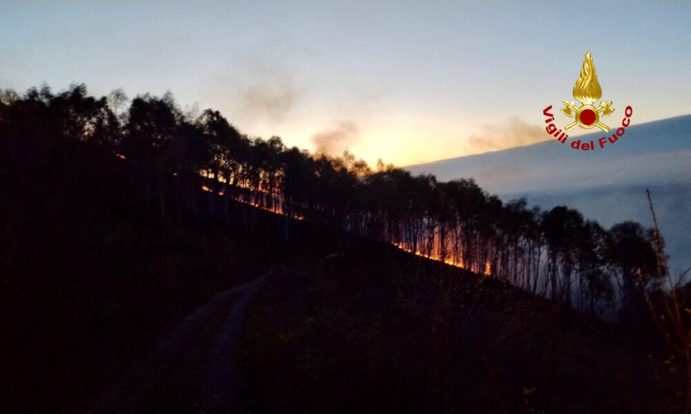 Bruciano le montagne biellesi. Questa mattina, martedì 16 aprile, poco dopo le 5:30, i vigili del fuoco di Biella sono intervenuti nel Comune di Donato per un incendio di bosco. 