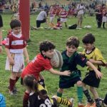 torneo dell'orso