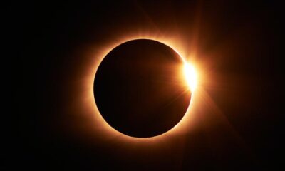 Oggi eclissi solare totale. Il fenomeno si verifica quando la Luna passa tra la Terra e il Sole, oscurando il disco solare per chi lo guarda dalla Terra.