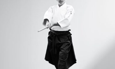 domenica stage di aikido