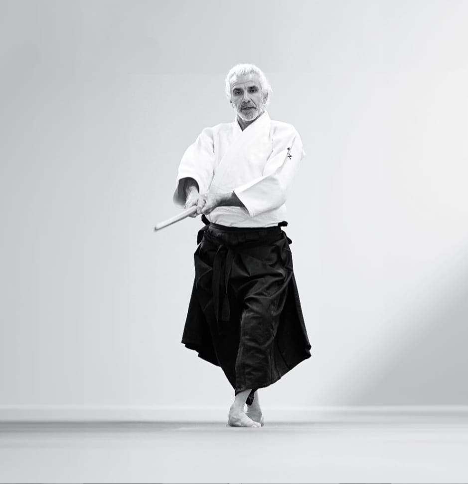 domenica stage di aikido