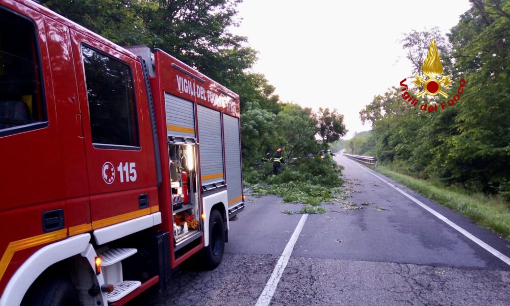 Albero cade su un veicolo di passaggio