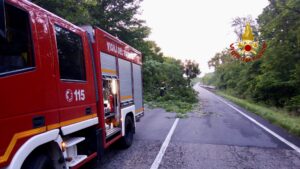 Albero cade su un veicolo di passaggio. Nella prima mattina di oggi, martedì 28 maggio, i Vigili del fuoco di Biella sono intervenuti sulla SP 419 a Mongrando per una pianta caduta che invadeva una parte della carreggiata.