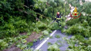 Albero cade su un veicolo di passaggio. Nella prima mattina di oggi, martedì 28 maggio, i Vigili del fuoco di Biella sono intervenuti sulla SP 419 a Mongrando per una pianta caduta che invadeva una parte della carreggiata.