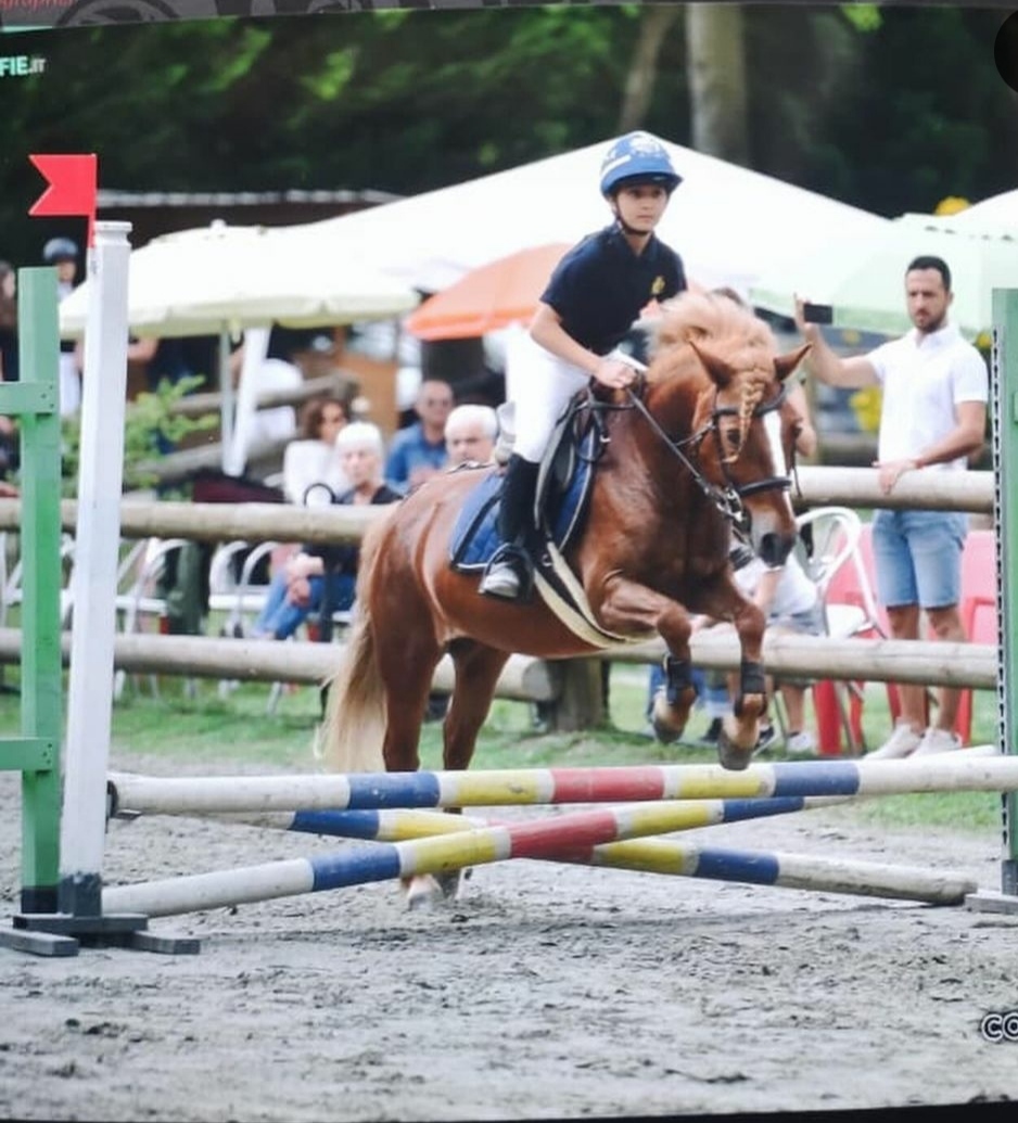 il centro equestre mottalciata brilla