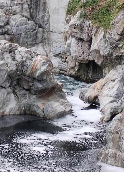 misteriosa schiuma bianca nel torrente cervo