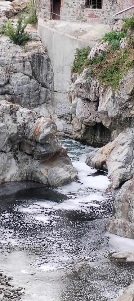 misteriosa schiuma bianca nel torrente cervo