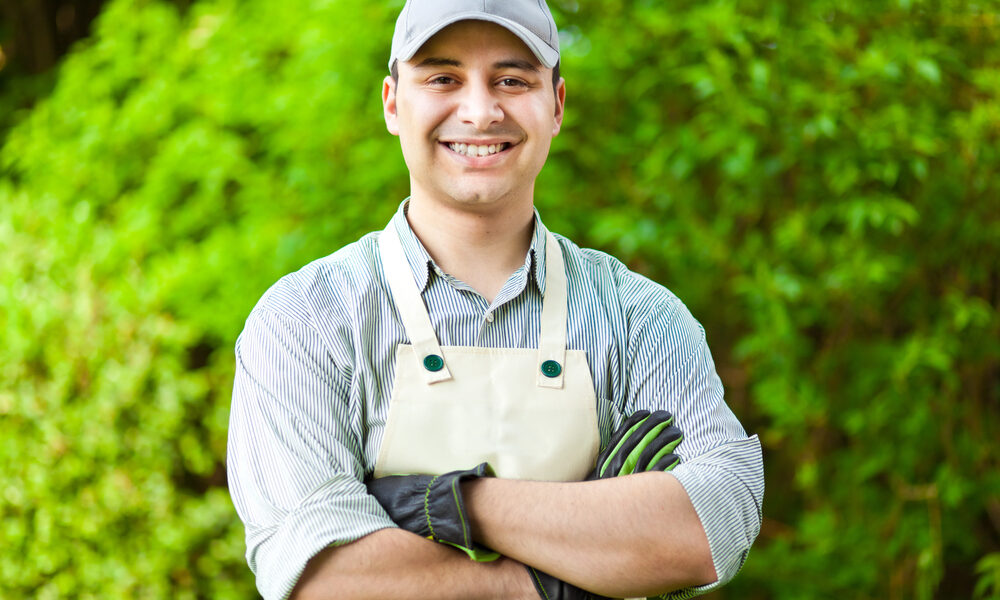 Giardiniere - Opportunità di lavoro in zona Viverone, si cerca custode/giardiniere