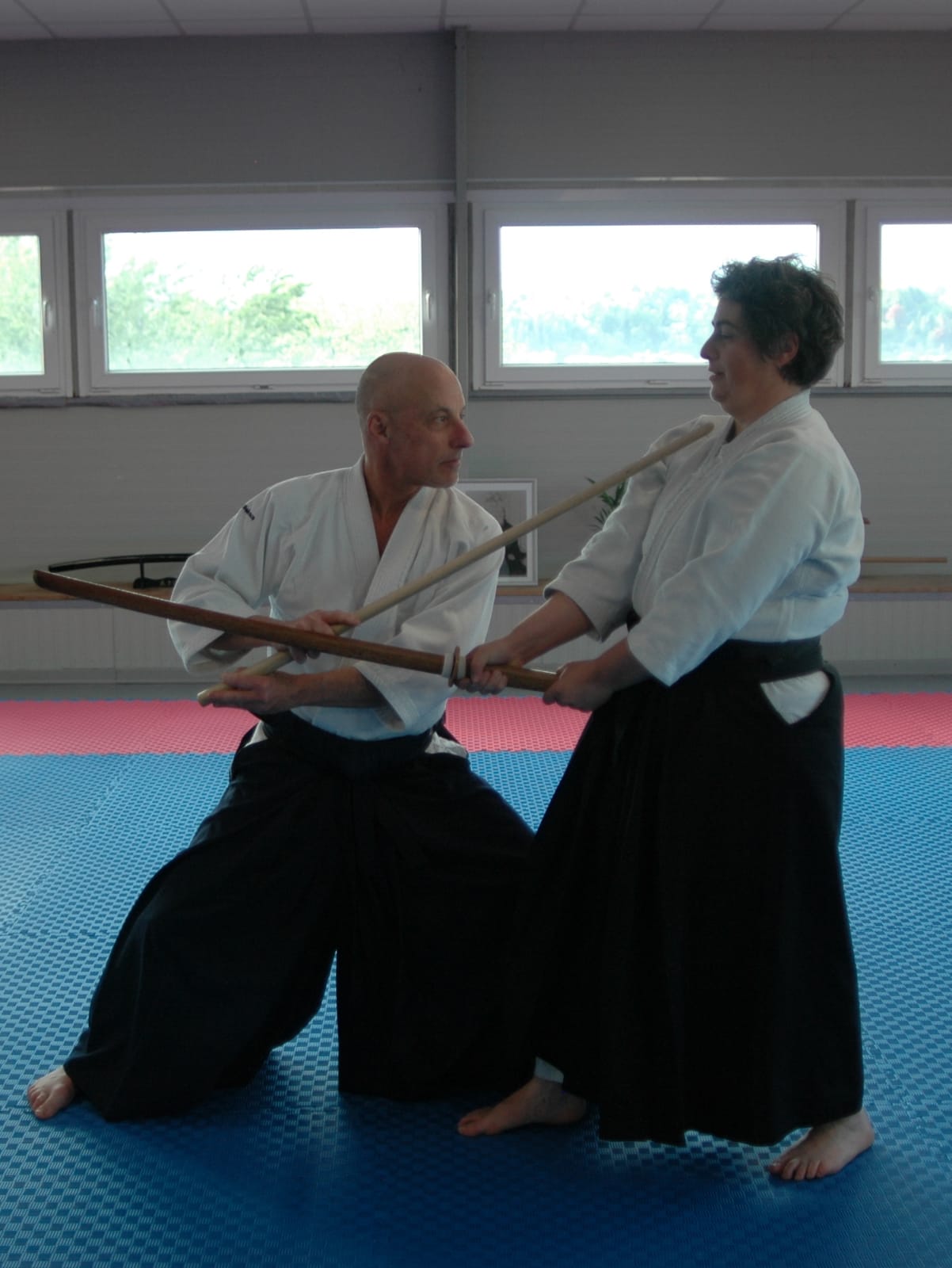 ripartoni i corsi di aikido