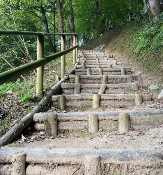 Nuove luci e interventi al “Bosco degli gnomi”