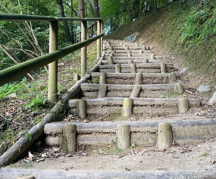 Nuove luci e interventi al “Bosco degli gnomi”