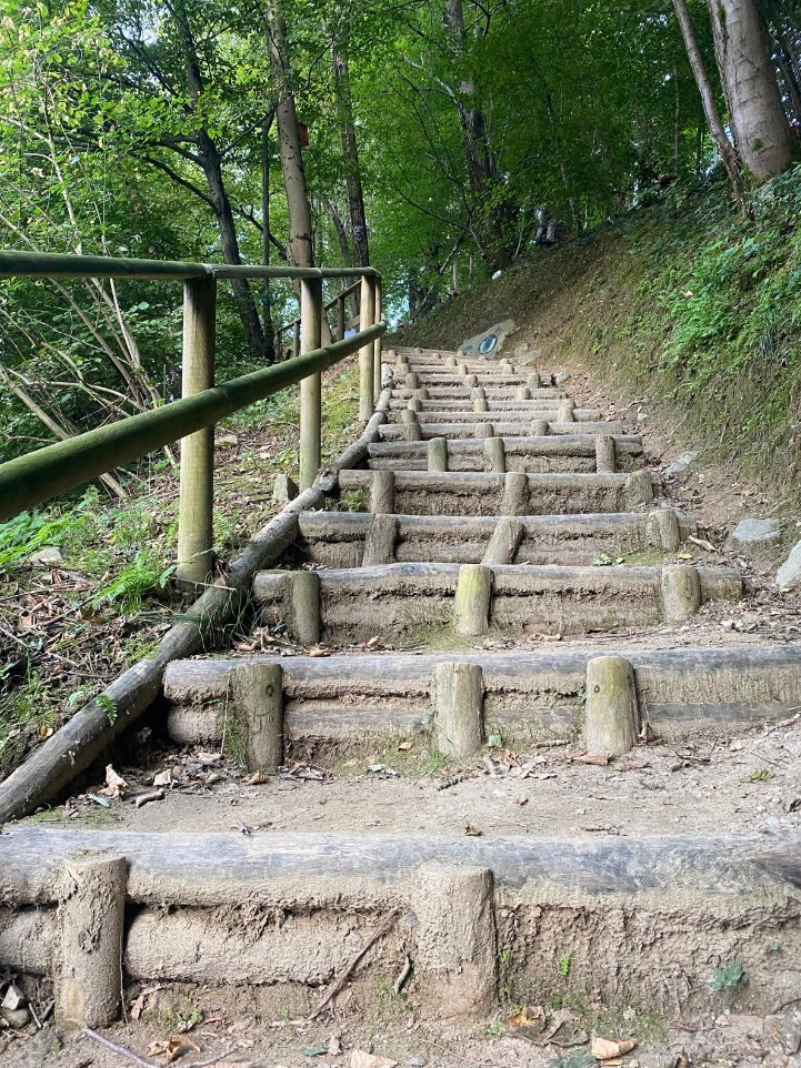 Nuove luci e interventi al “Bosco degli gnomi”