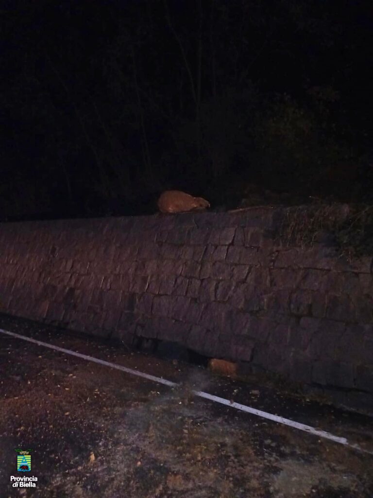 Cadono massi ciclopici sulla strada