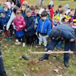 Giornata nazionale dell'albero