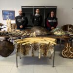 trofei di caccia