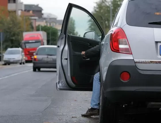 Il cane resta in auto