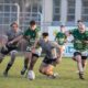 biella rugby nella tana del petrarca