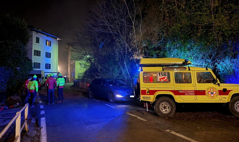 tragedia nel bosco