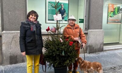 Adotta un albero, sabato la cerimonia di avvio del progetto