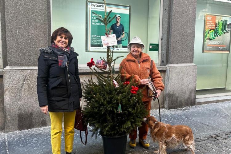 Adotta un albero, sabato la cerimonia di avvio del progetto