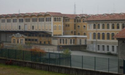 vittime della pettina