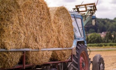 Giovane perde fieno dal trattore, sanzionato