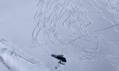 Snowboarder cinquantenne