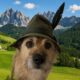 Domani in edicola tutti i selfie dell'Adunata degli alpini. Le immagini verranno pubblicate sul giornale La Provincia di Biella.it in edicola domani, sabato 17 maggio.