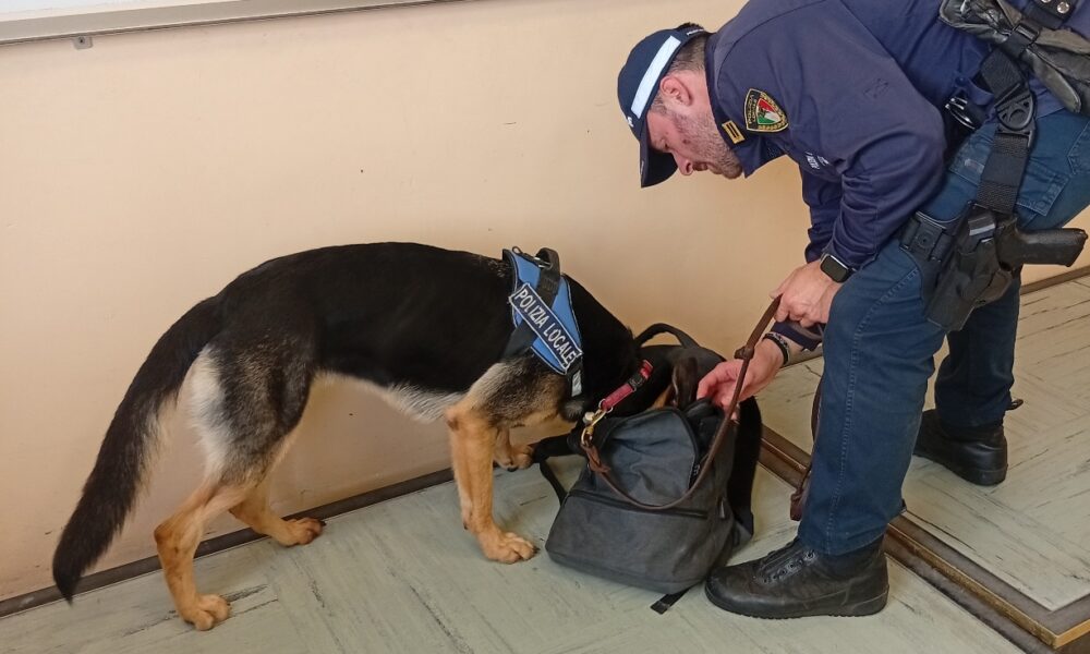 Controlli antidroga all’Itis: in azione anche il fiuto del cane Lana