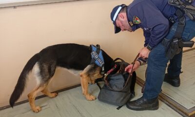 Controlli antidroga all’Itis: in azione anche il fiuto del cane Lana