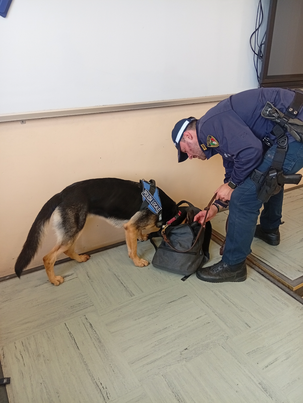 Controlli antidroga all’Itis: in azione anche il fiuto del cane Lana