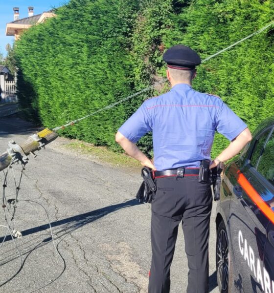 Palo cade sulla strada a Ternengo