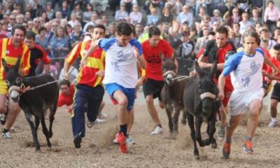 non autorizzate spettacoli con gli animali