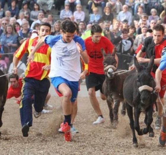 non autorizzate spettacoli con gli animali