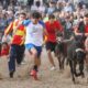 non autorizzate spettacoli con gli animali