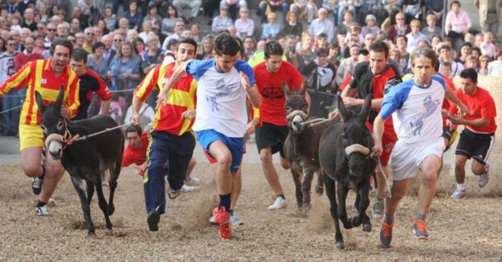 non autorizzate spettacoli con gli animali