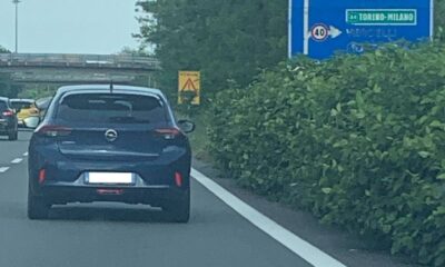 "La superstrada è una foresta" - FOTO
