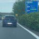 "La superstrada è una foresta" - FOTO