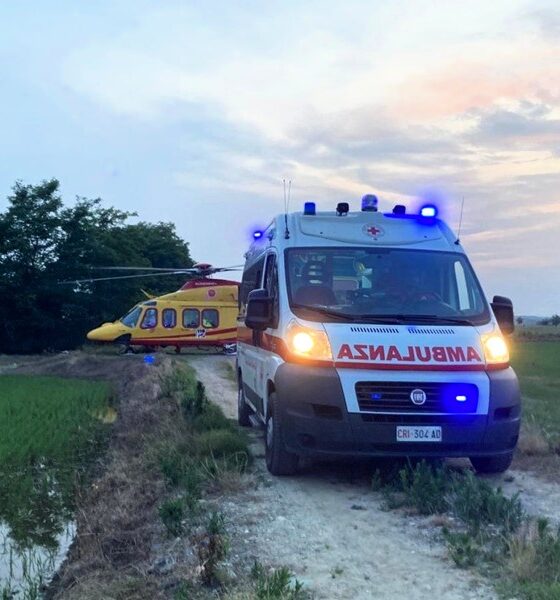 Punto da un calabrone, finisce in ospedale per la reazione allergica