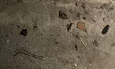 Case popolari, cantine invase da topi morti: «Odore nauseabondo»