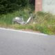 bike sharing